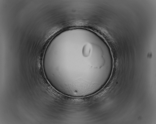 X0000090461209200708031233
