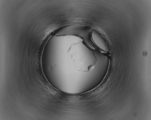 X0000090461210200708031233