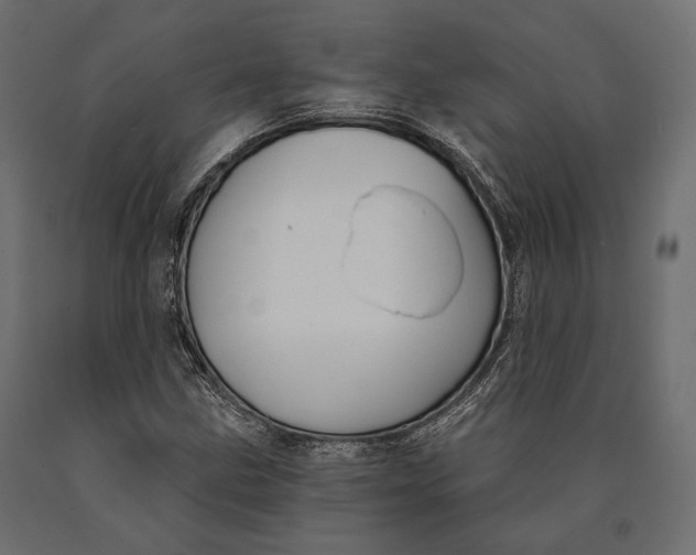 X0000090461211200708031233