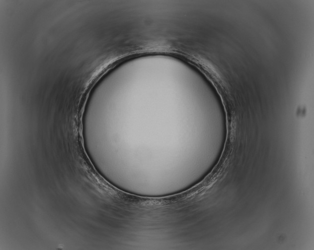 X0000090461212200708031233