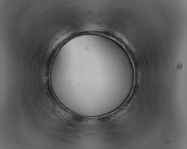 X0000090461213200708031233