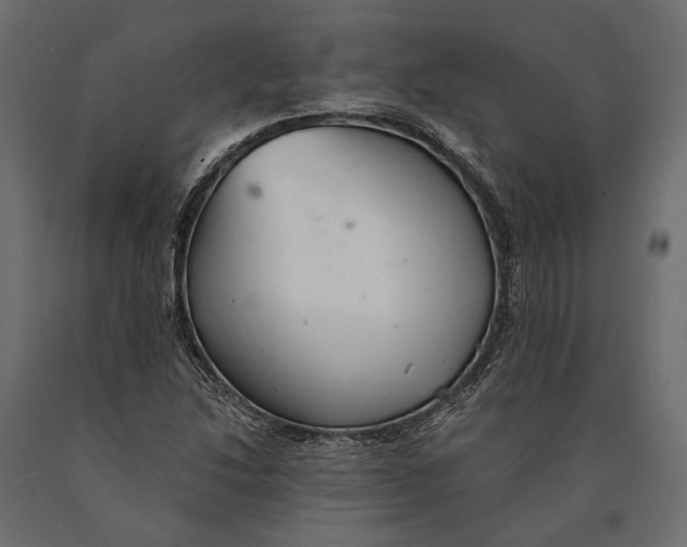 X0000090461214200708031233