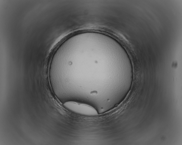 X0000090461216200708031233