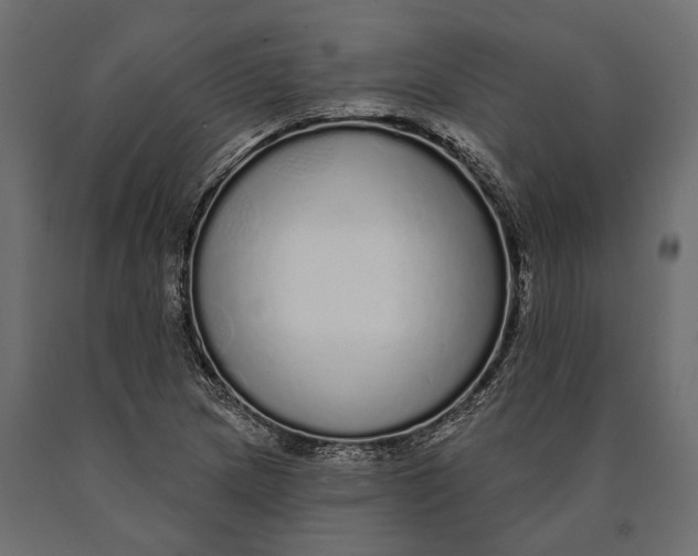 X0000090461217200708031233