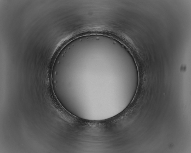 X0000090461218200708031233