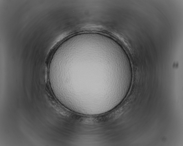 X0000090461219200708031233