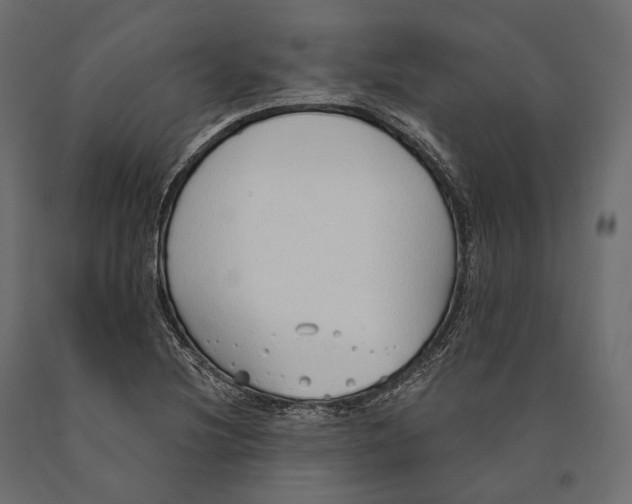 X0000090461220200708031233