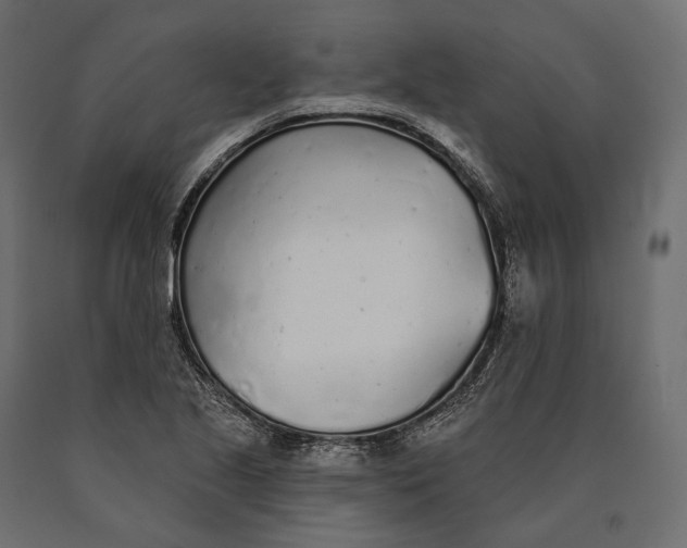 X0000090461221200708031233