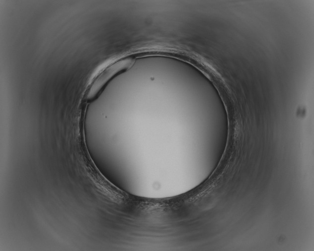 X0000090461222200708031233