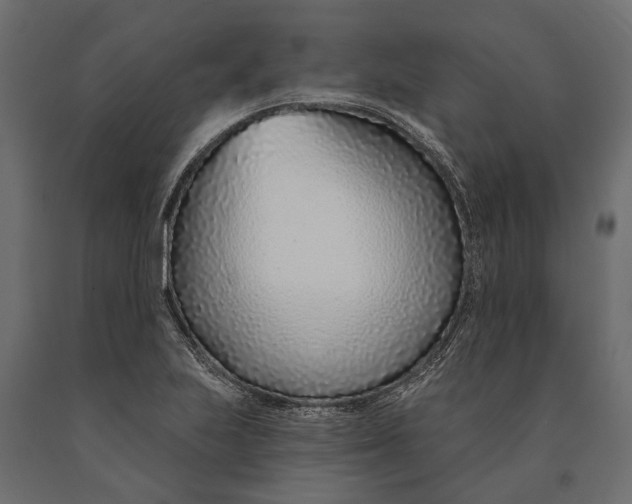 X0000090461223200708031233