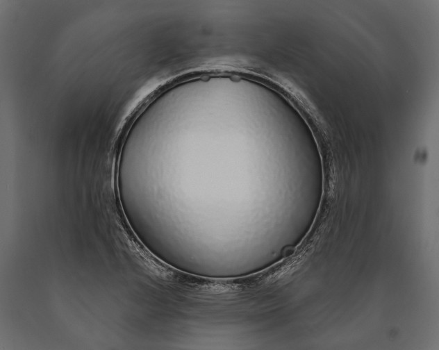X0000090461224200708031233