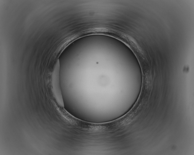 X0000090461225200708031233