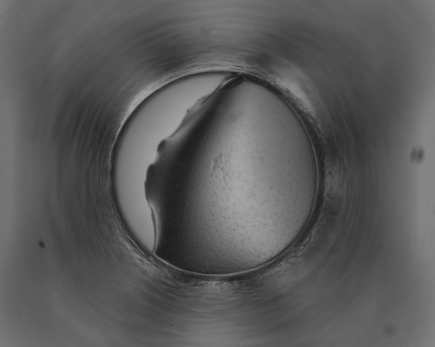 X0000090461226200708031233