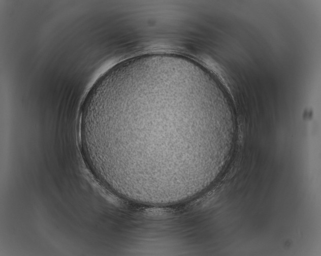X0000090461227200708031233