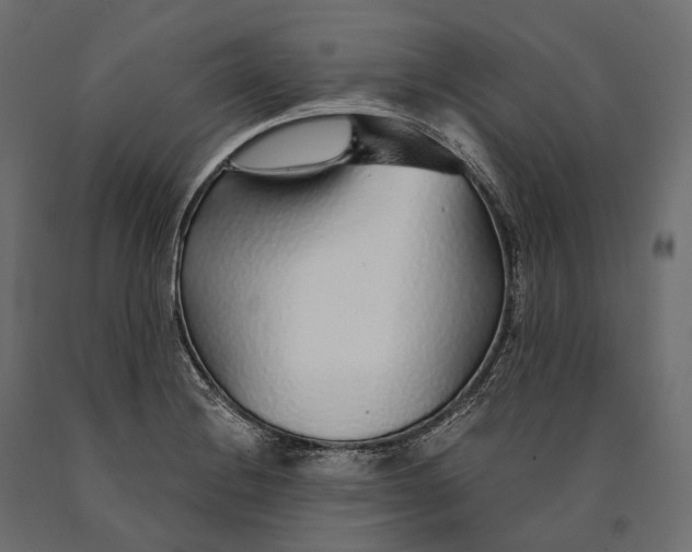 X0000090461228200708031233