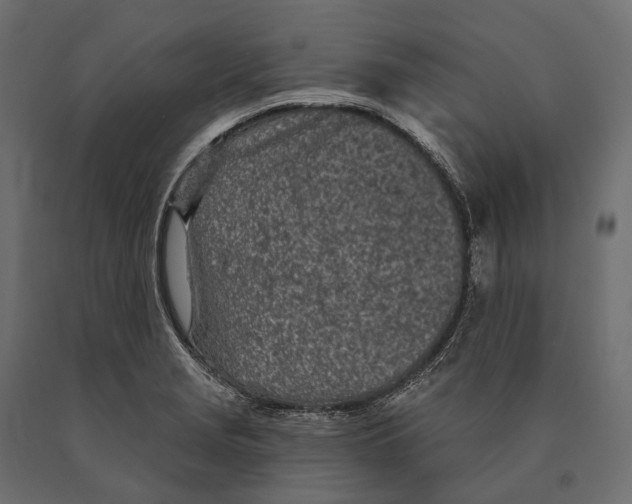 X0000090461229200708031233