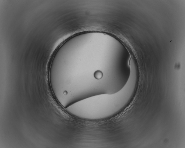 X0000090461230200708031233