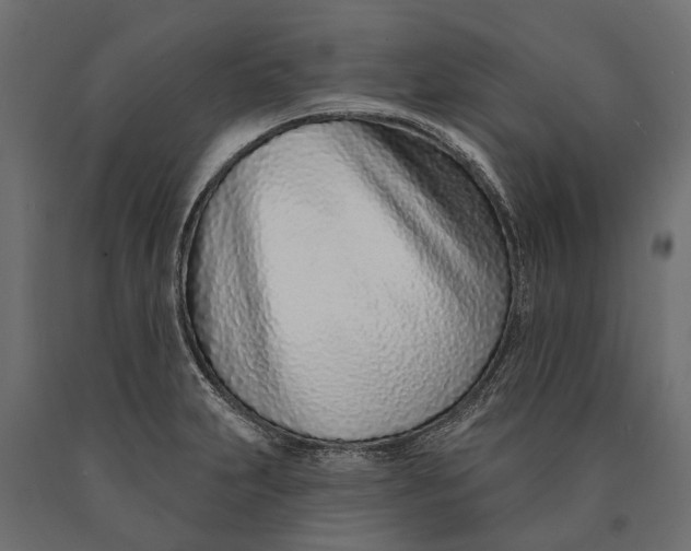 X0000090461231200708031233