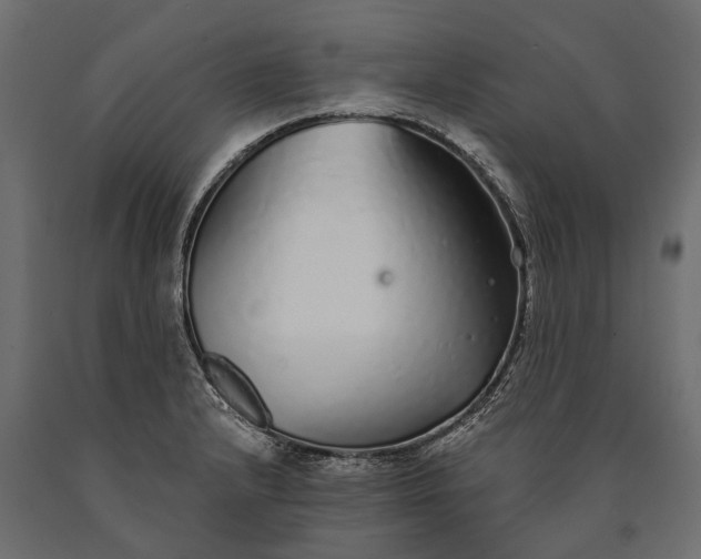 X0000090461232200708031233