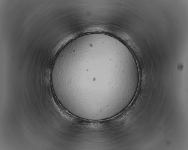 X0000090461233200708031233