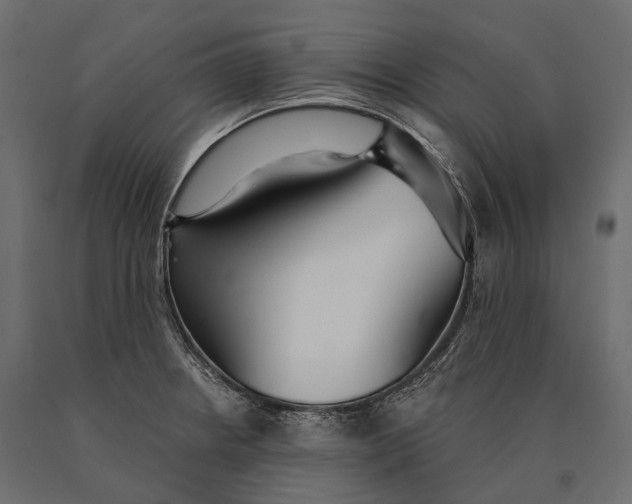 X0000090461234200708031233