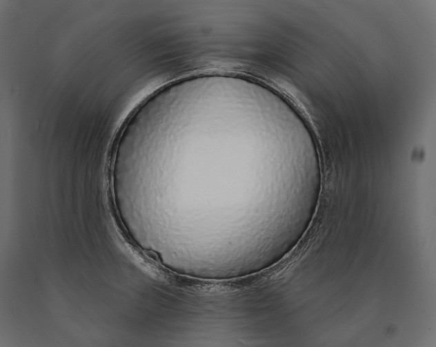 X0000090461235200708031233