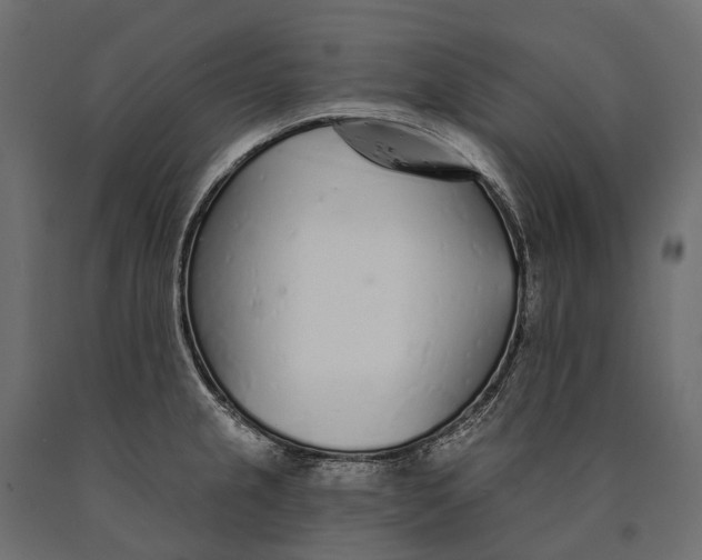 X0000090461237200708031233