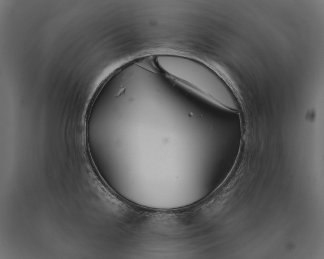 X0000090461238200708031233