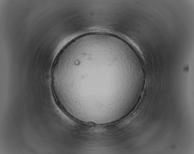 X0000090461239200708031233
