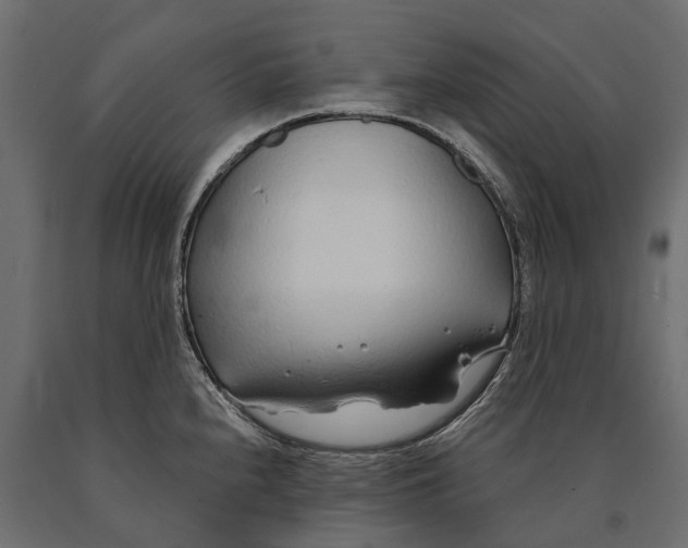 X0000090461240200708031233