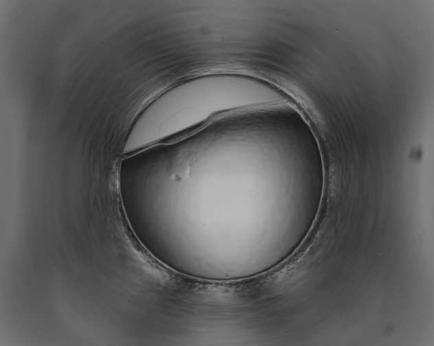 X0000090461241200708031233