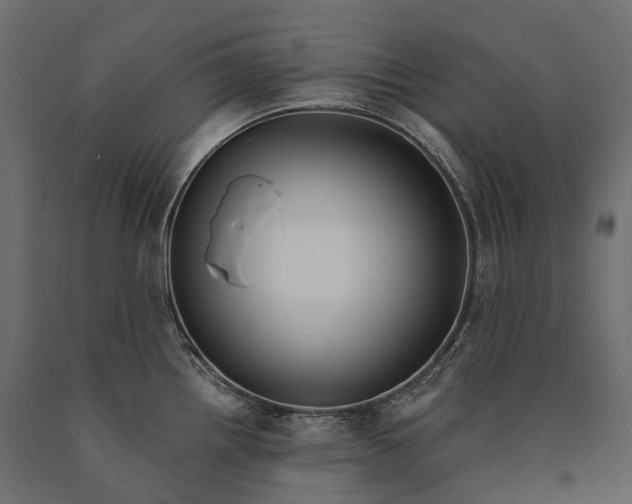 X0000090461242200708031233