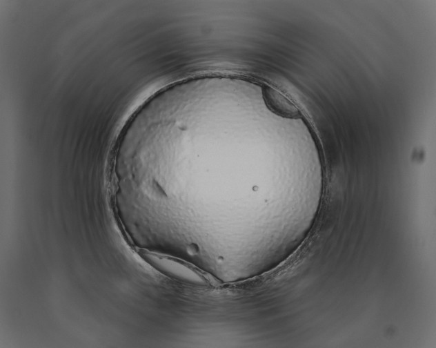X0000090461243200708031233