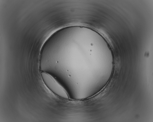 X0000090461244200708031233