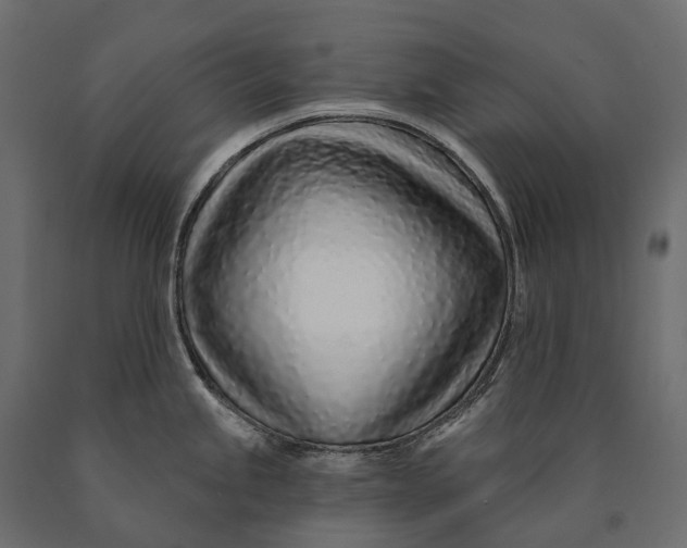 X0000090461245200708031233