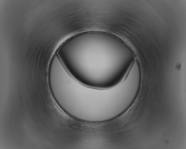 X0000090461246200708031233