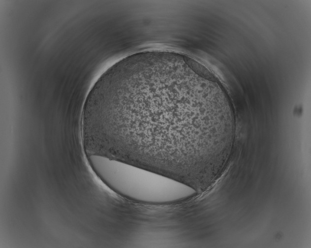 X0000090461247200708031233