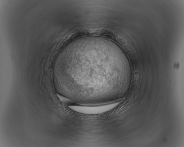 X0000090461249200708031233