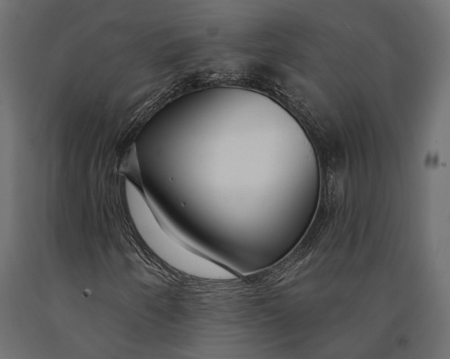 X0000090461250200708031233