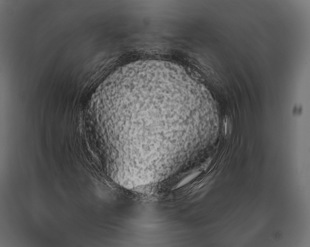 X0000090461251200708031233
