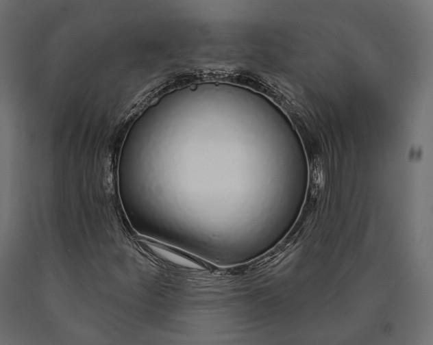 X0000090461252200708031233