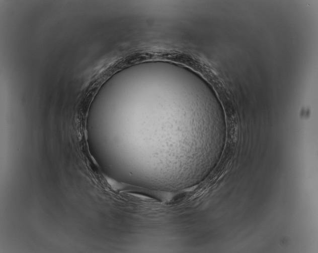 X0000090461253200708031233