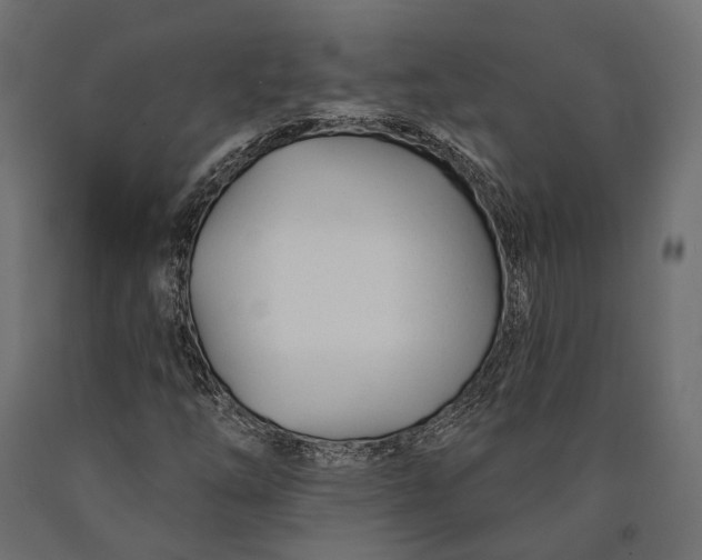 X0000090461254200708031233