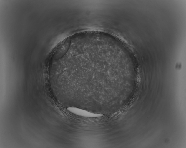 X0000090461255200708031233