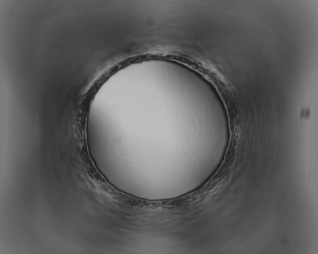 X0000090461256200708031232