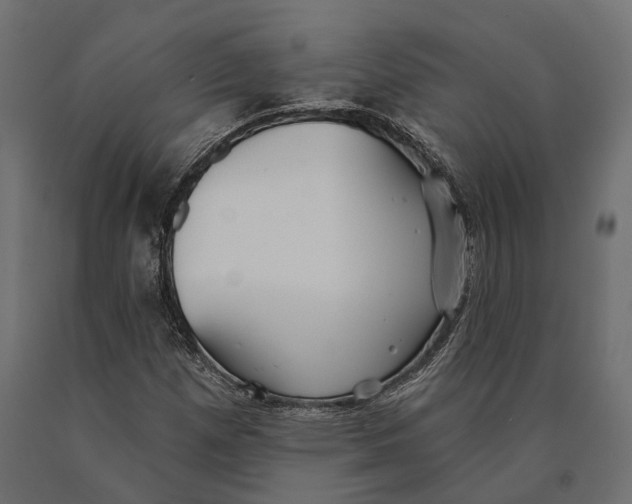 X0000090461257200708031232