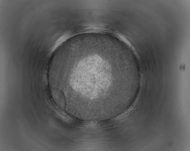 X0000090461259200708031232