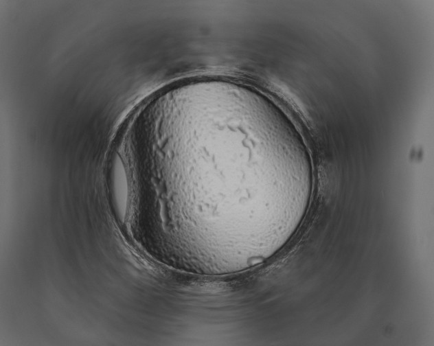 X0000090461260200708031232