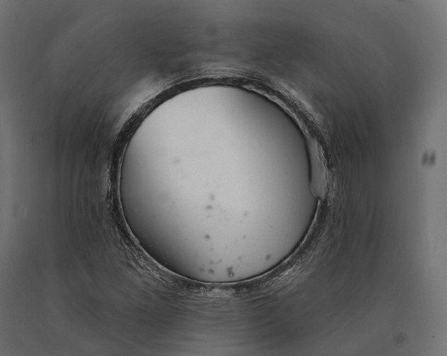 X0000090461261200708031232
