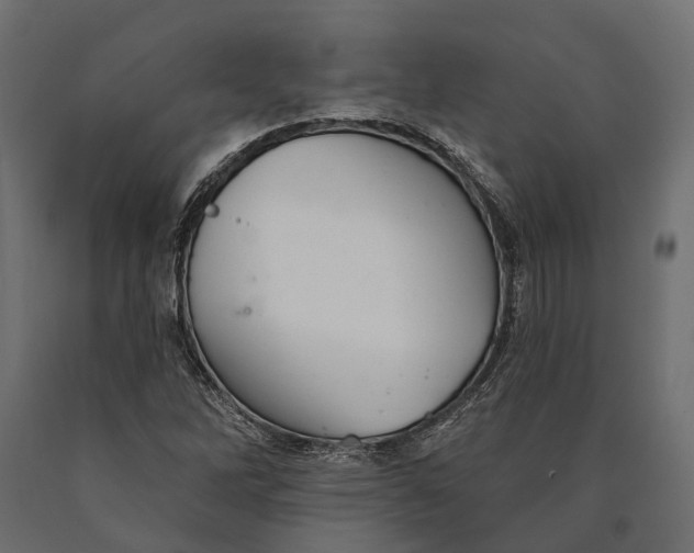 X0000090461262200708031232
